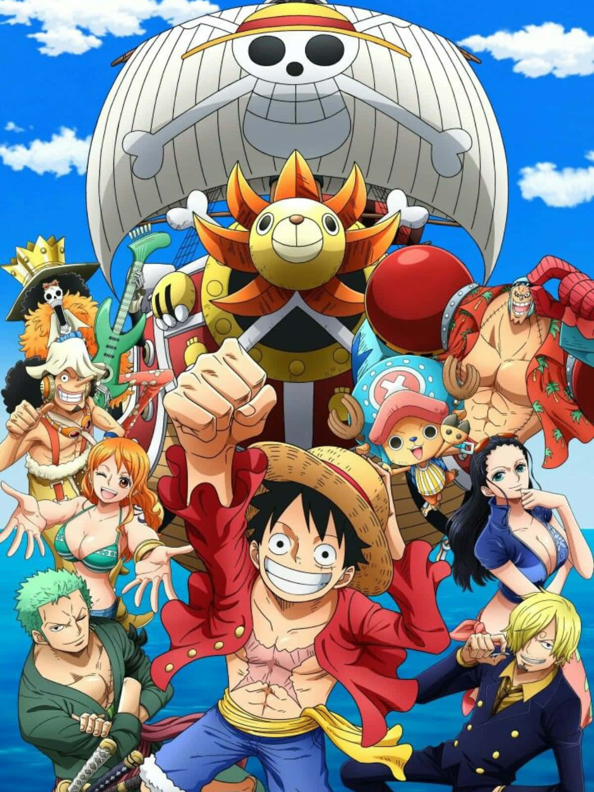 Straw Hat Pirates Ready To Sail The High Seas Background