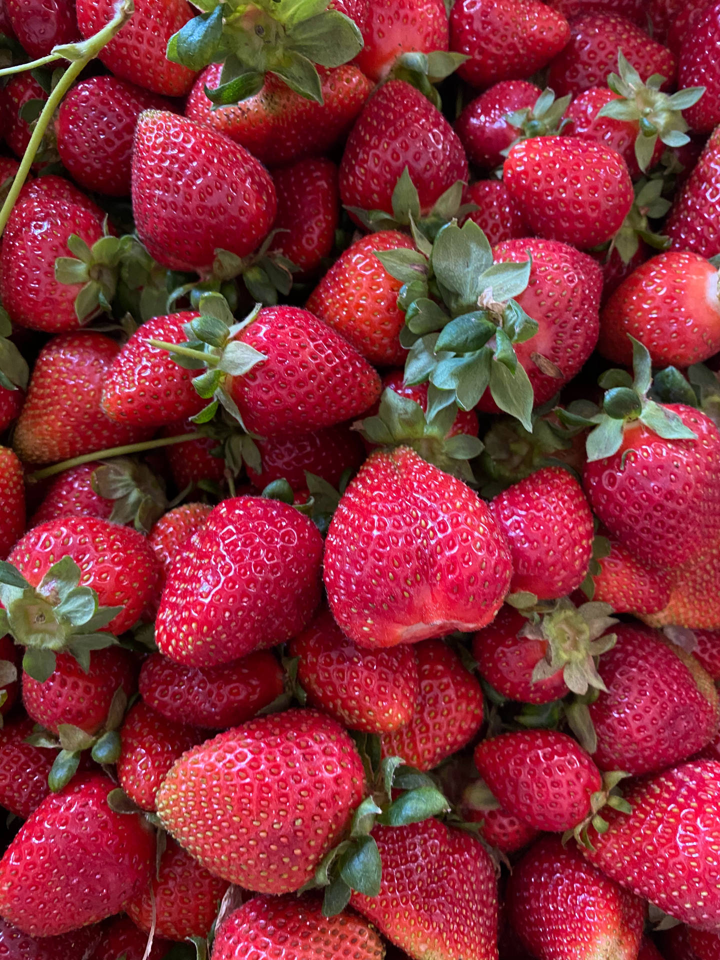 Strawberry Fruit Bright Red Colors