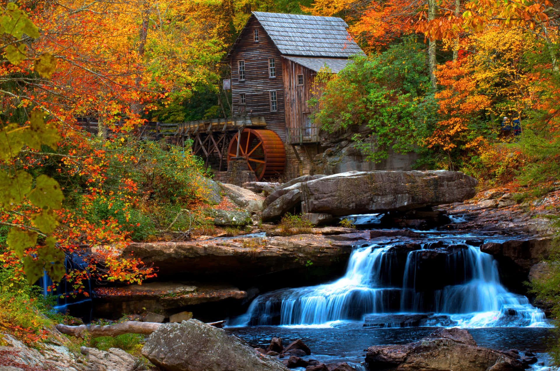 Stream During Early Fall Background