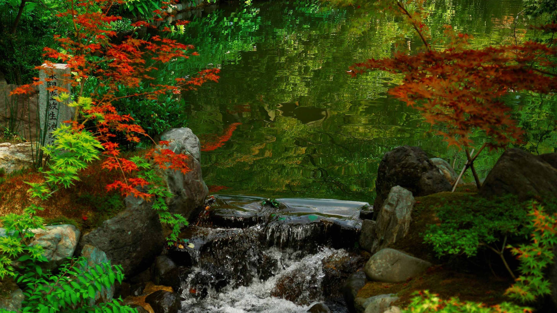 Stream With Japanese Nature Background