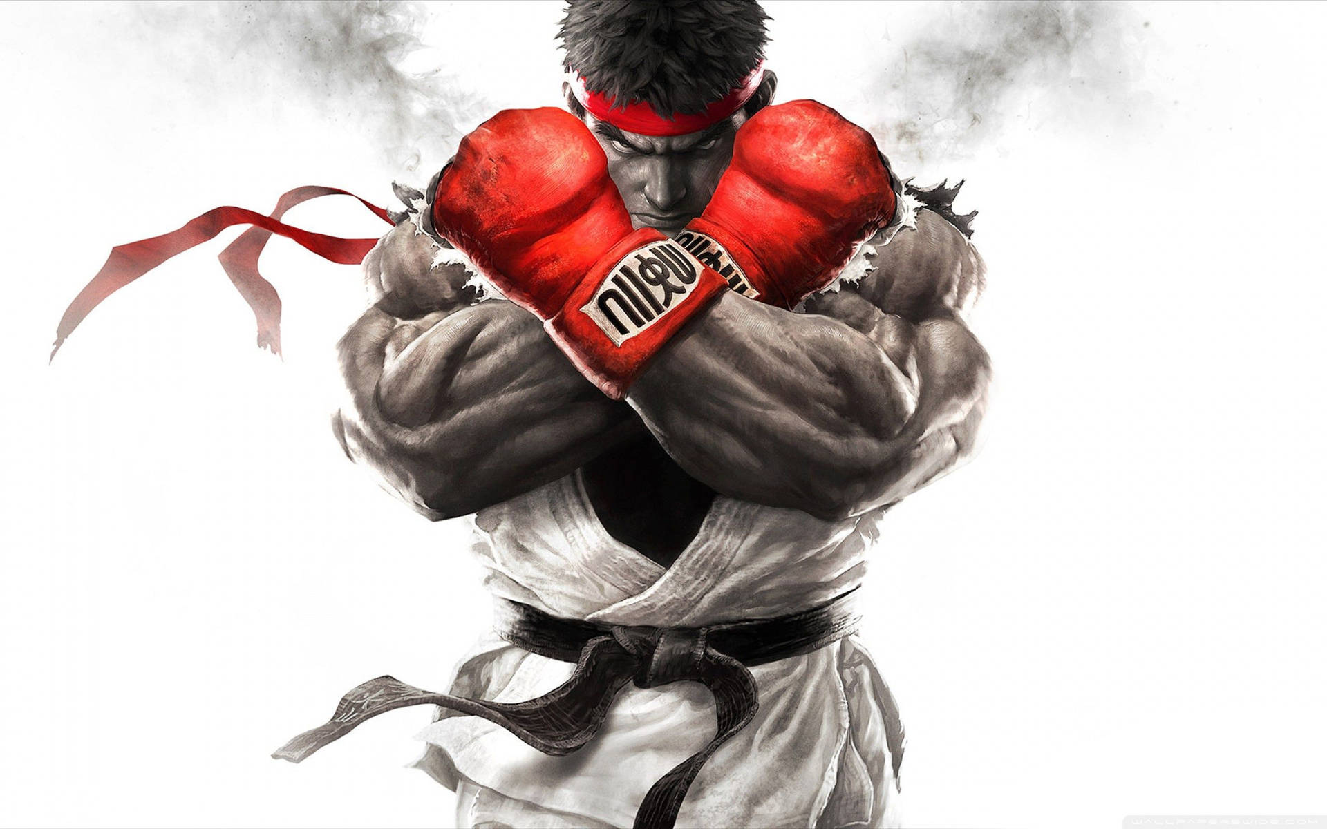 Street Fighter Ryu Wearing Red Gloves Background