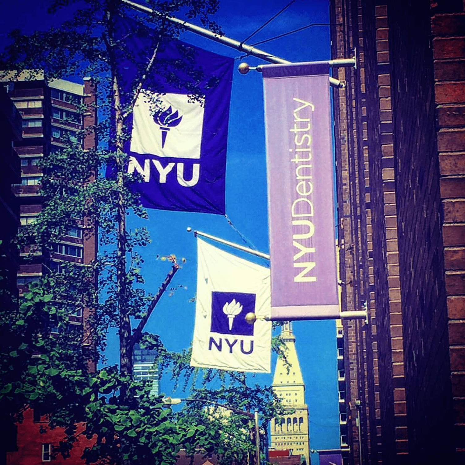 Street Full Of Nyu Banners Background