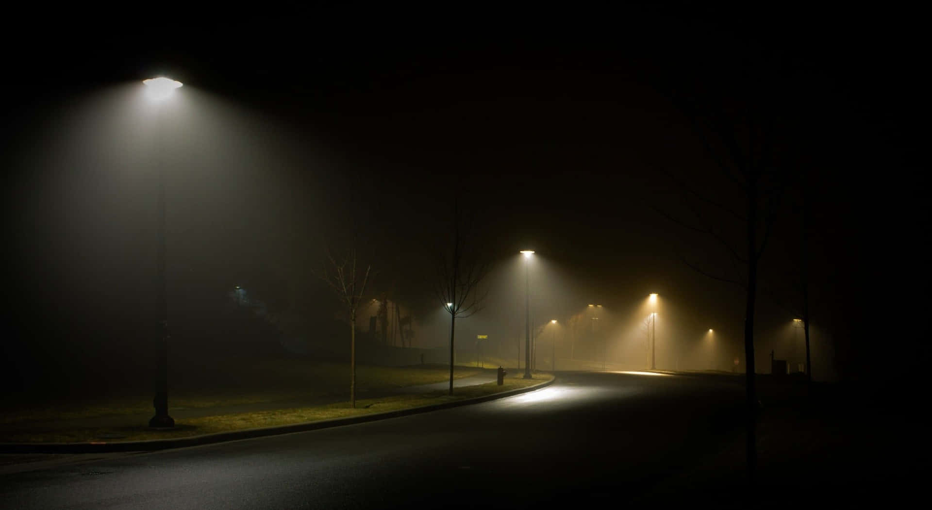 Street Light Fog Background