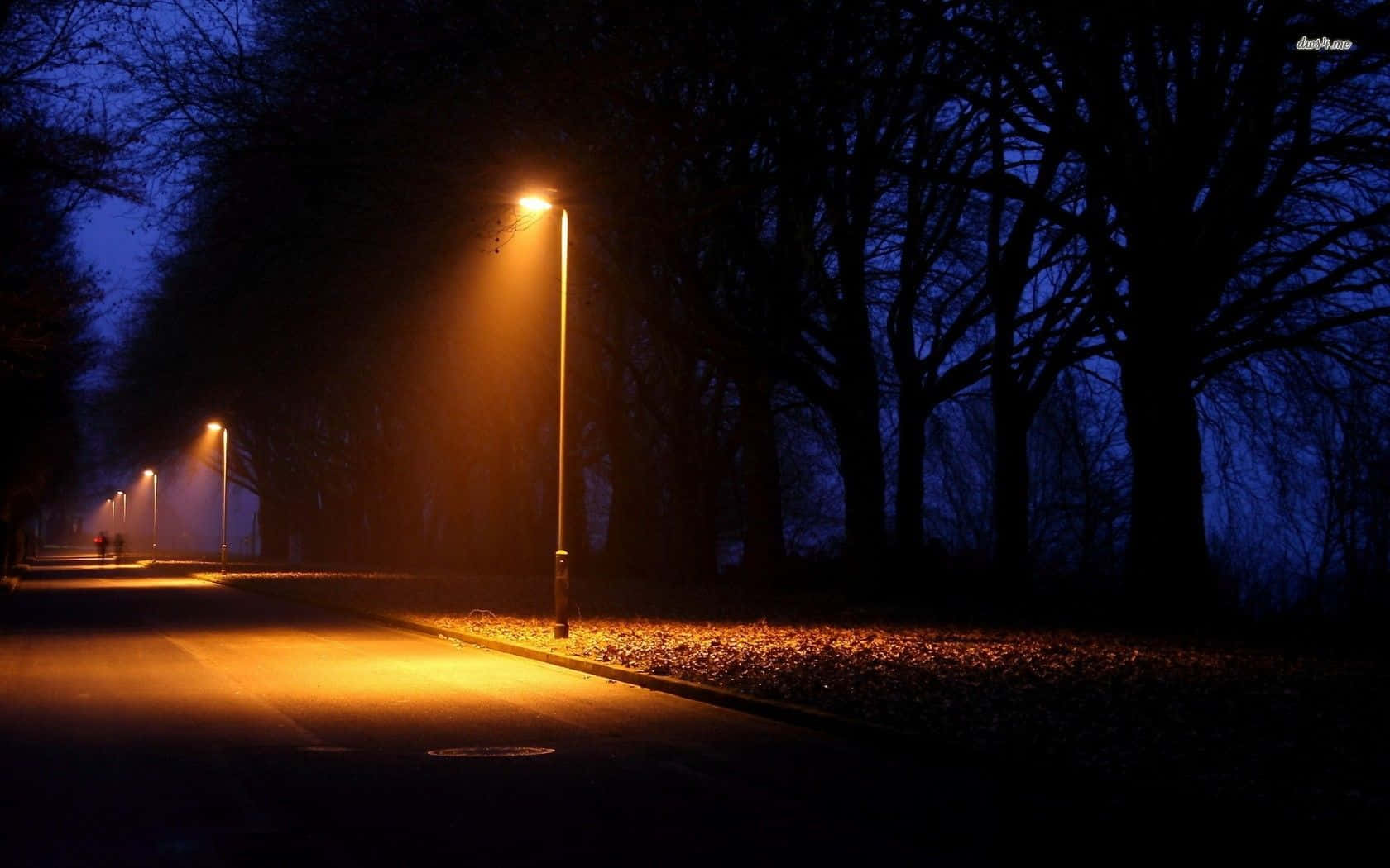 Street Light Trees Background