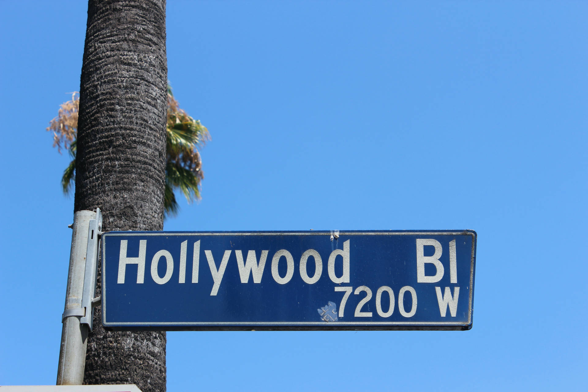 Street Sign In Hollywood Background