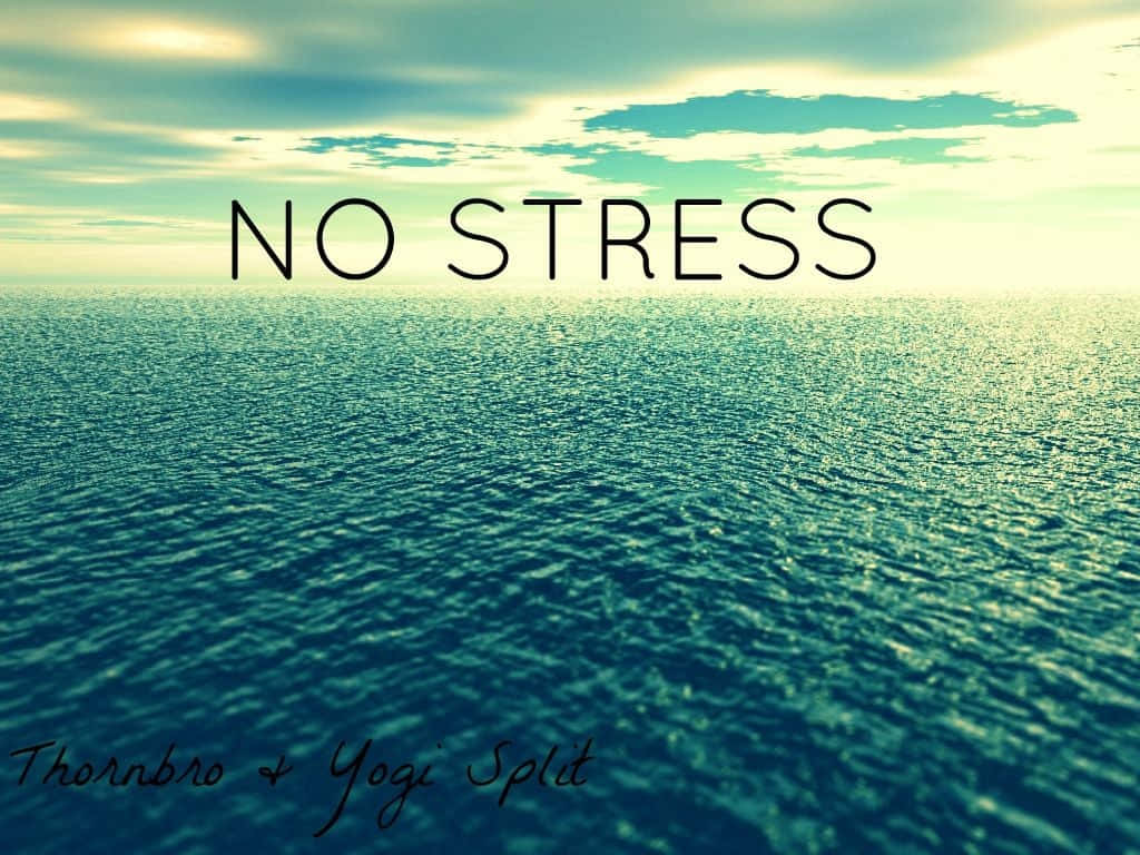 Stress Scenic Ocean View Poster Background