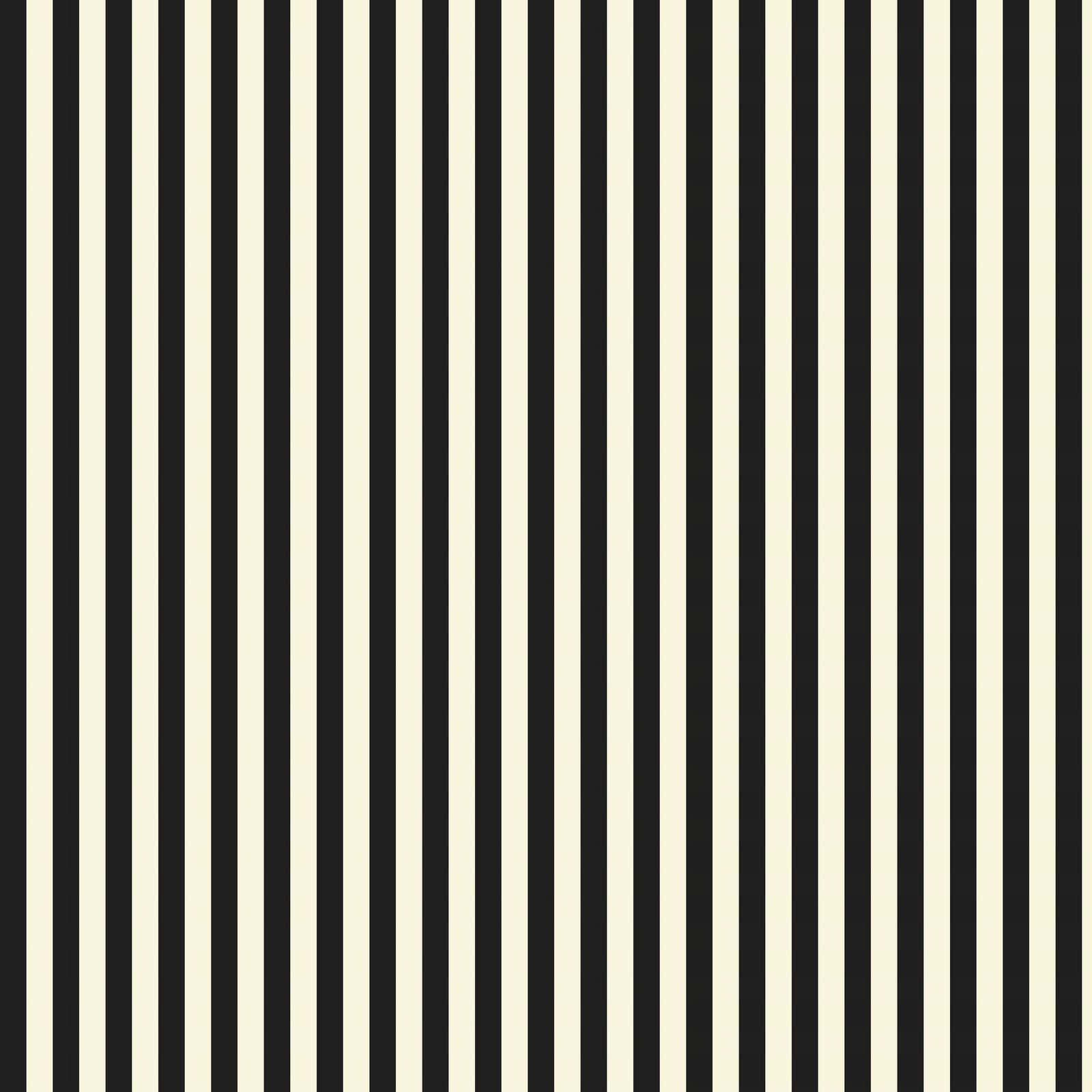 Striking Black And White Stripes Background