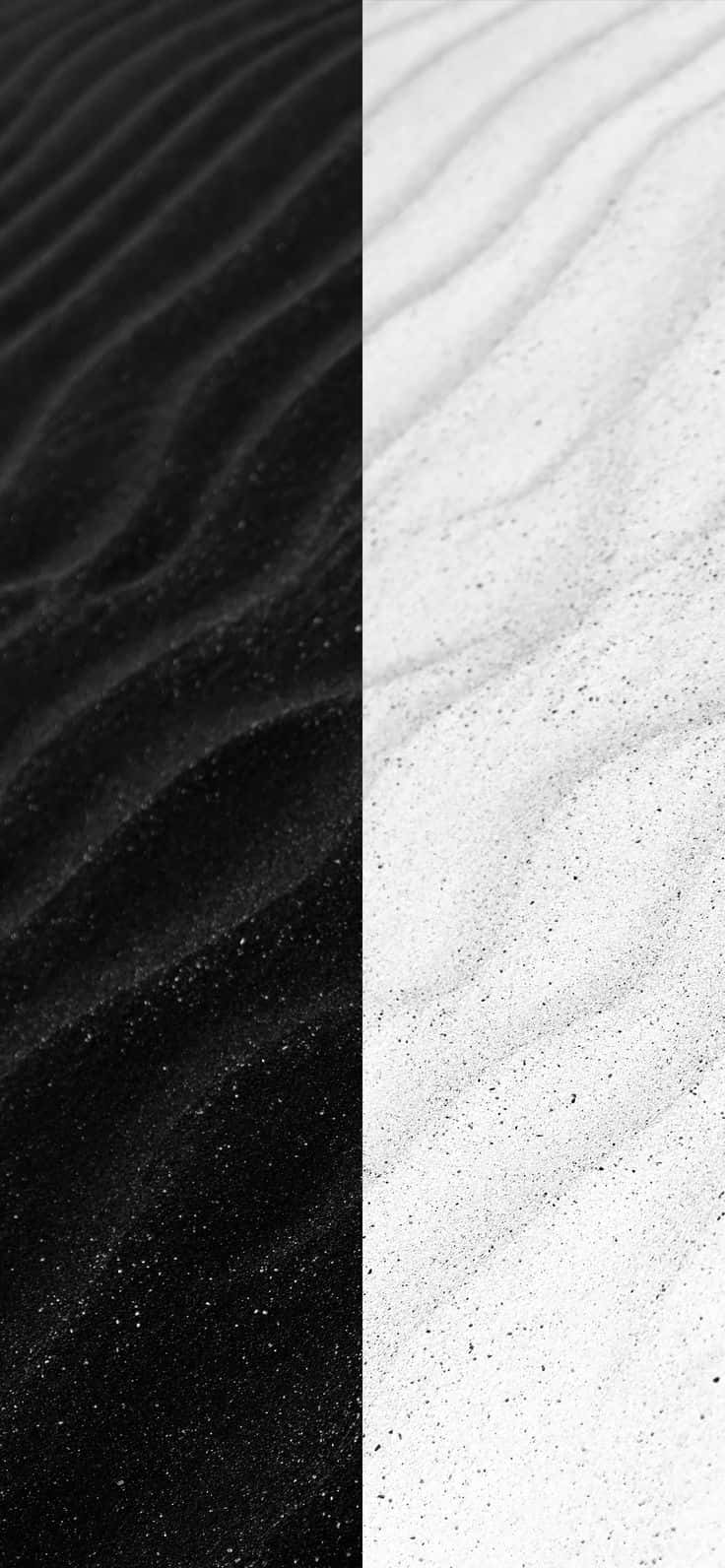 Striking Dual-tone Background - Half Black Half White Background