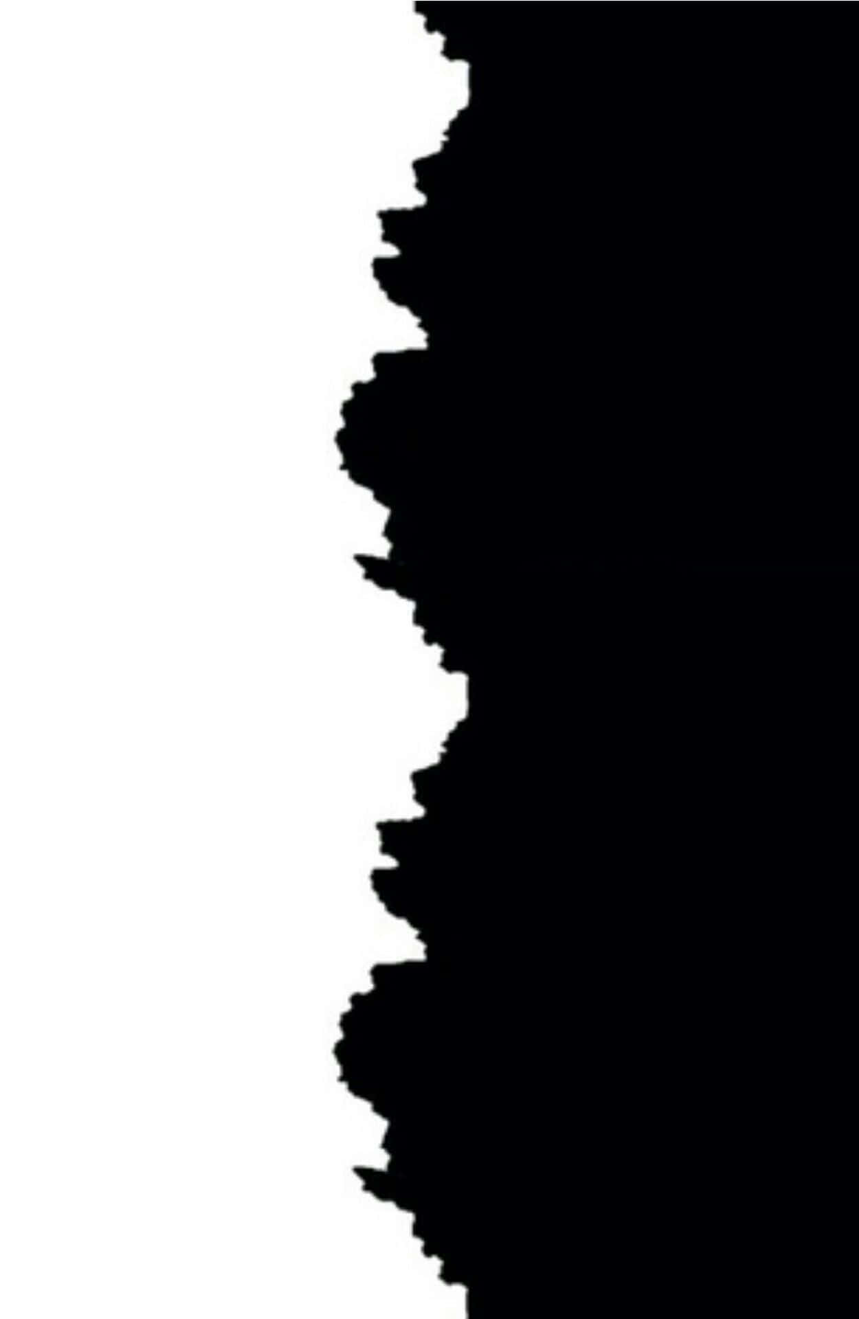 Striking Half Black And Half White Abstract Background Background