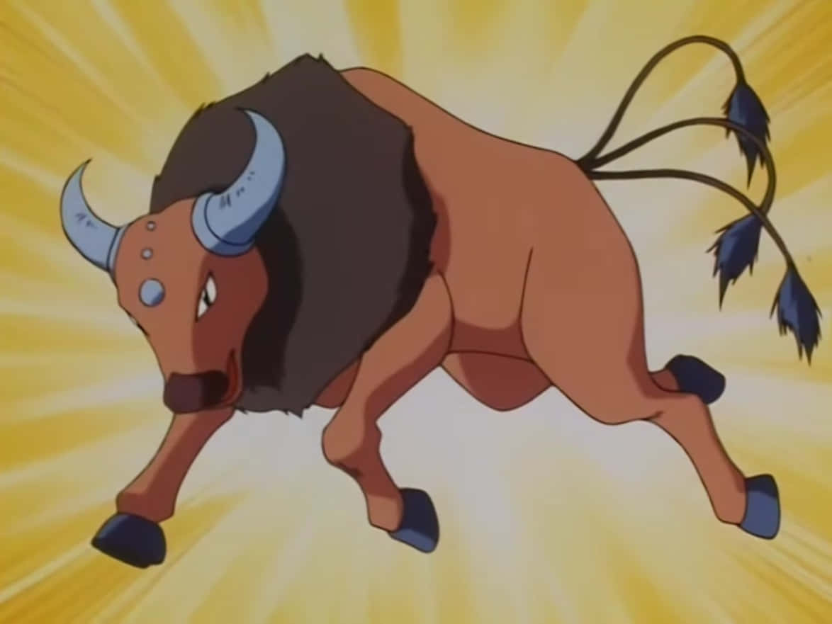 Striking Tauros With Yellow Background Background