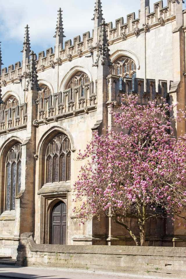 Striking View Of The Historical Oxford University Buildings. Background