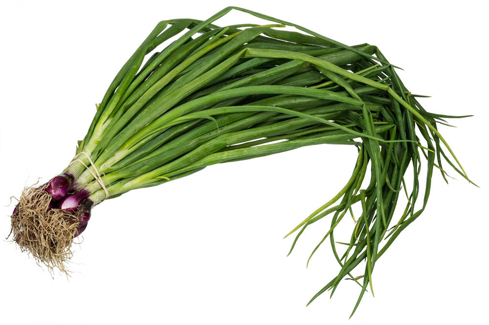 String Of Fresh Spring Onion Background