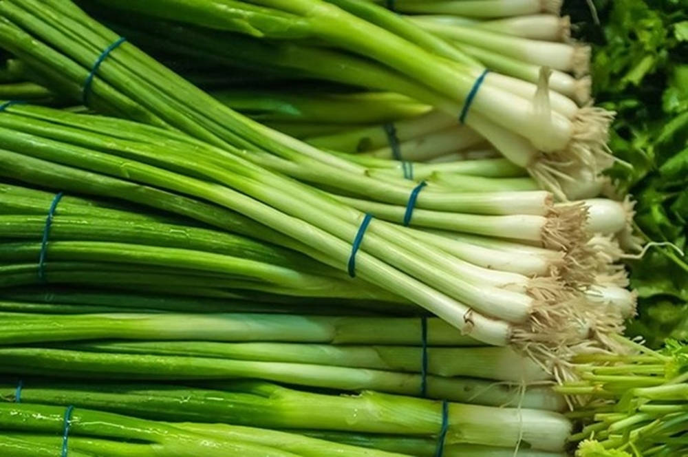 Strings Of Fresh Piled Spring Onions Background