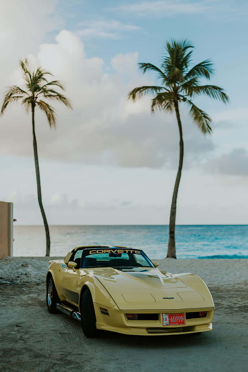 Stroll The Coastline Of A Vintage Paradise Background