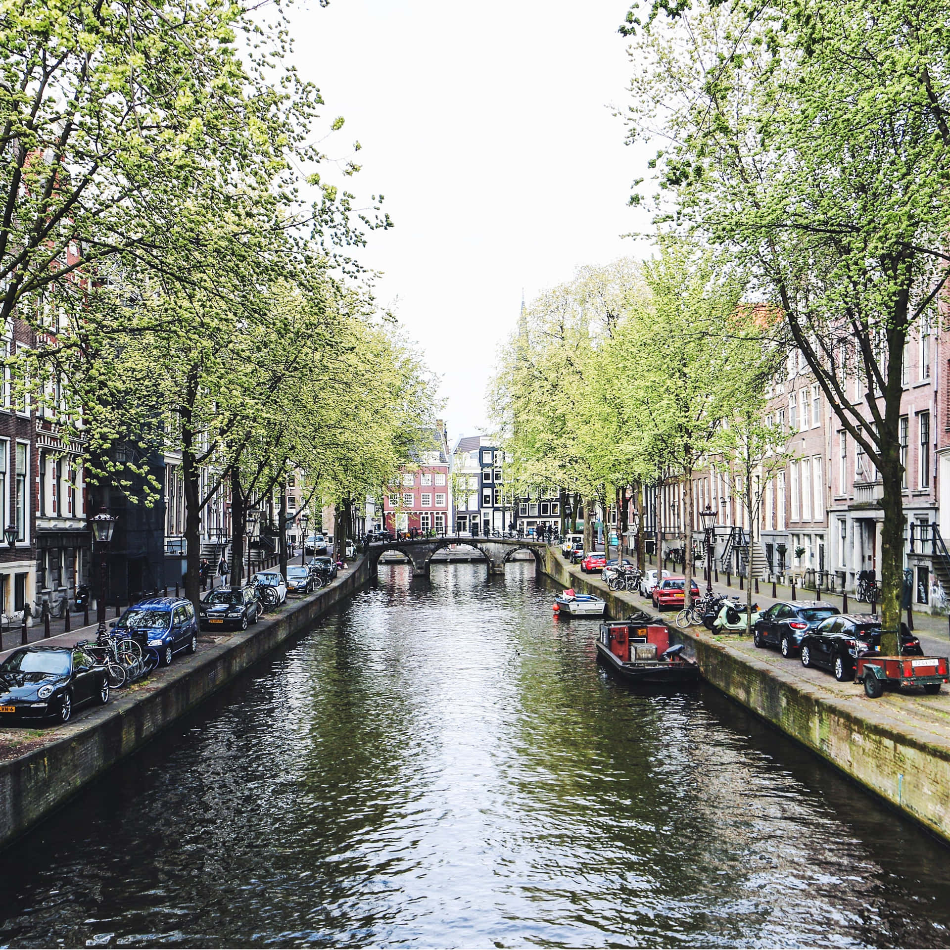 Strolling Along The Canals Of Amsterdam In The Spring Background