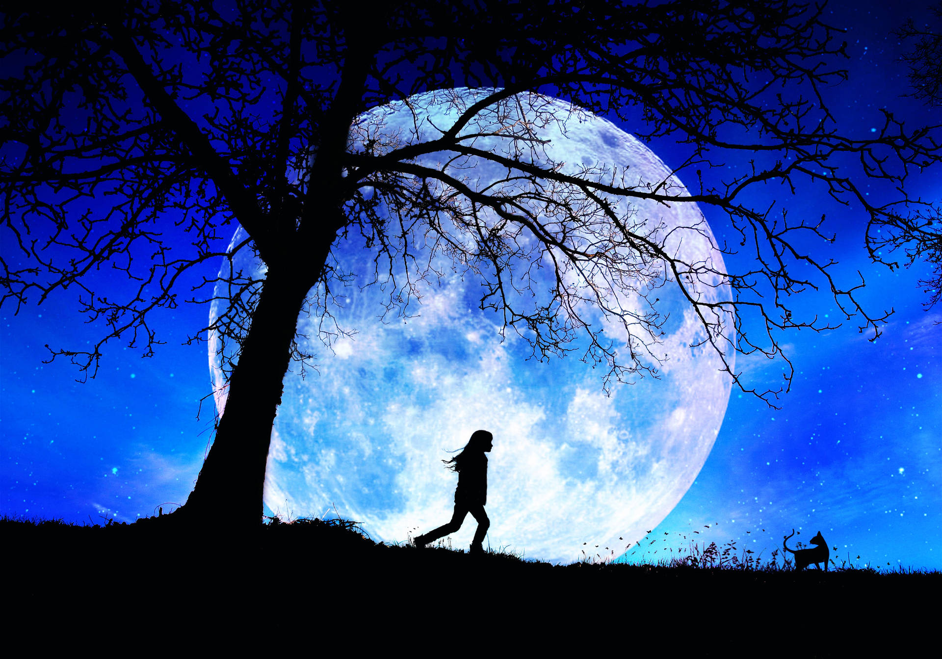 Strolling Past The Moon Night Sky Background