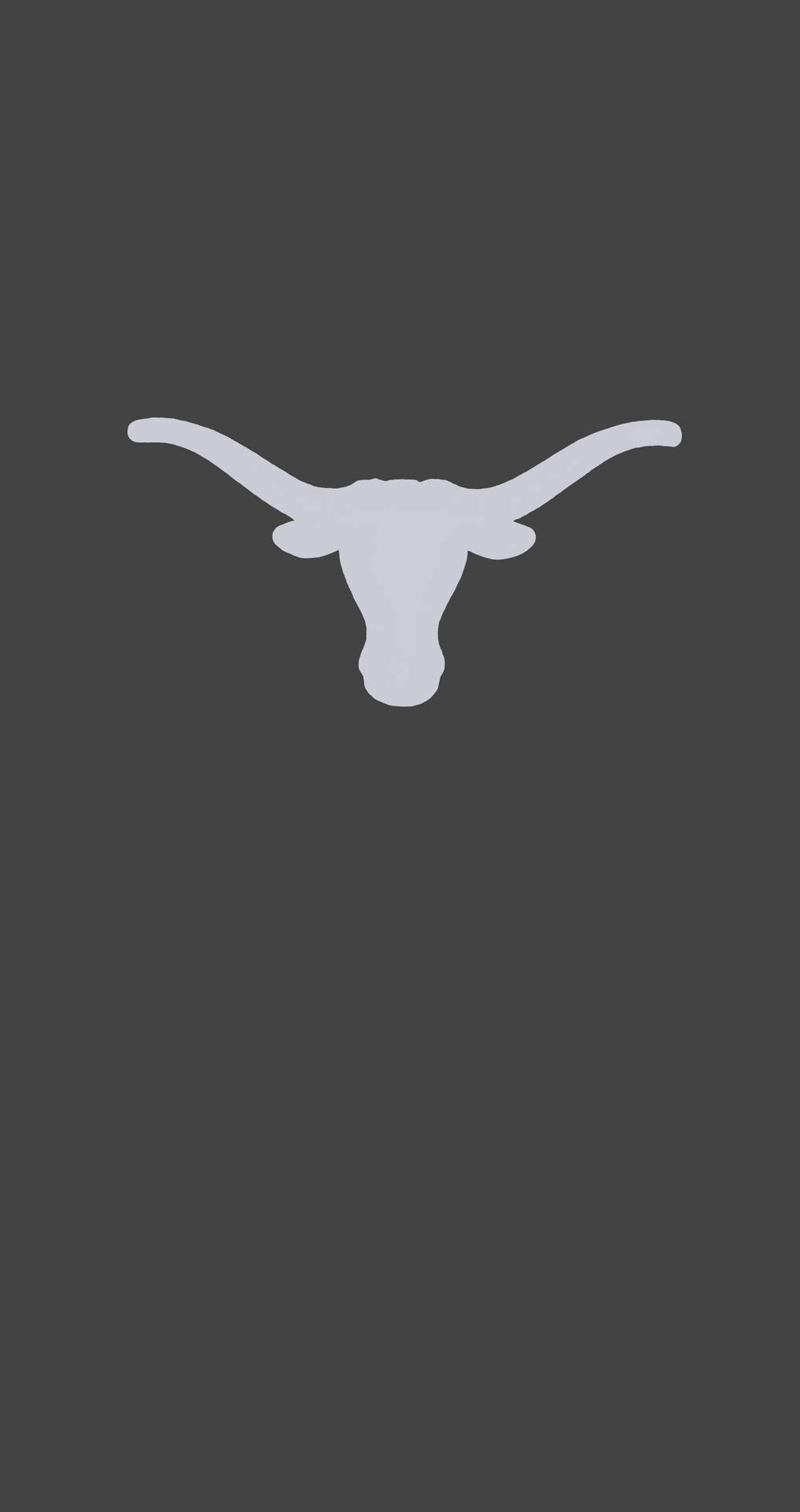 Strong And Proud Texas Longhorn