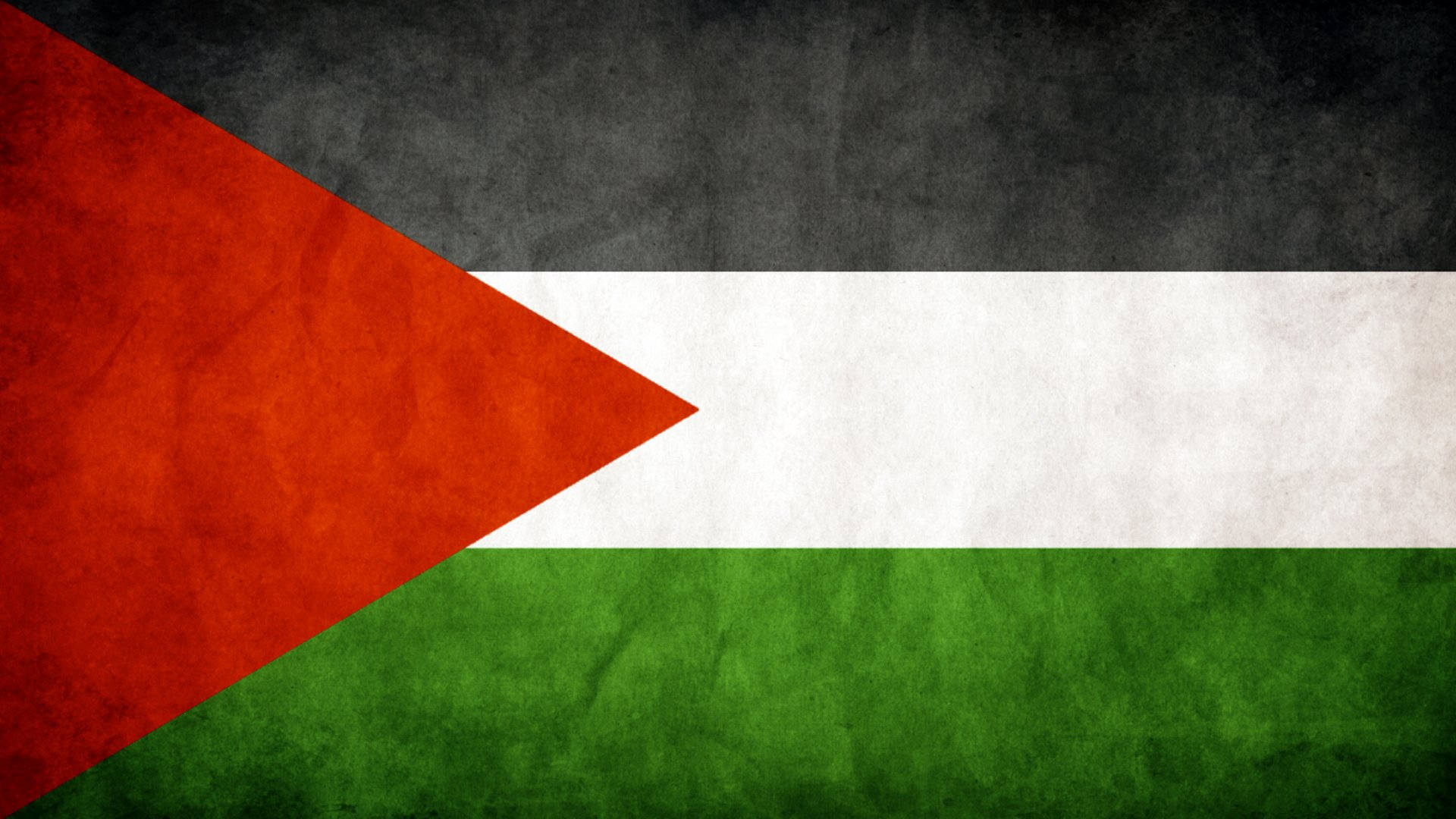 Strong And Resilient - The Textured Flag Of Palestine Background
