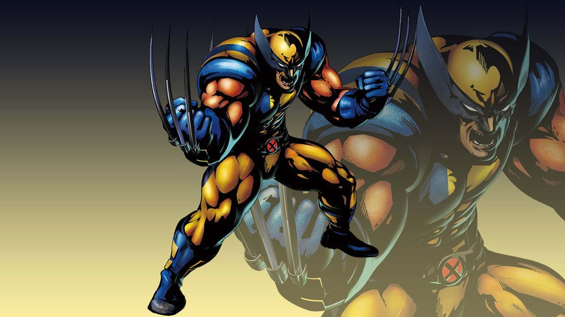 Strong Marvel Superhero Wolverine Hd Background