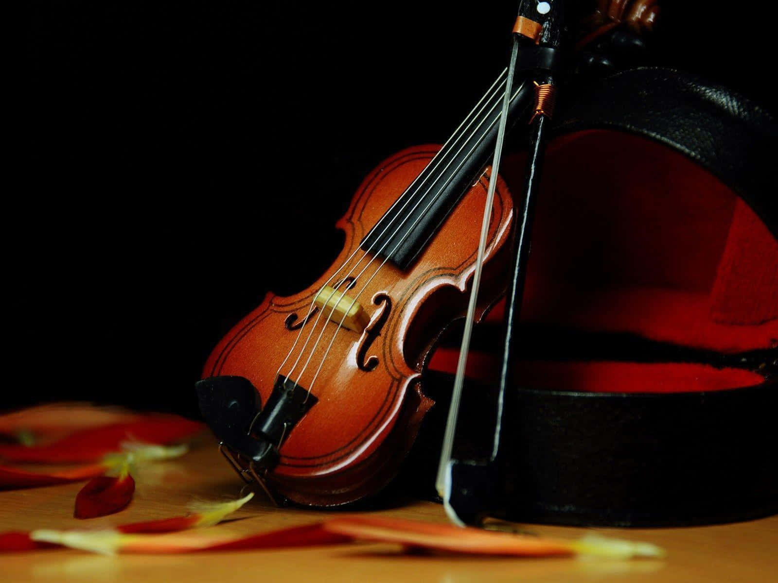 Strumming The Strings Of A Classic Violin