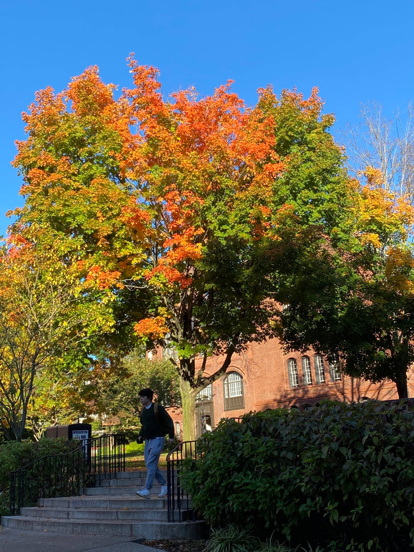 Student At Stairs Brown University Background