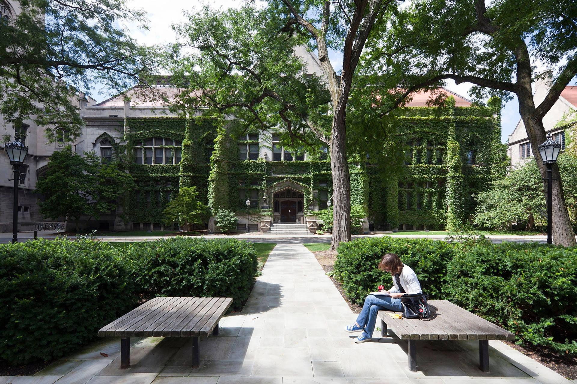 Student University Of Chicago Background