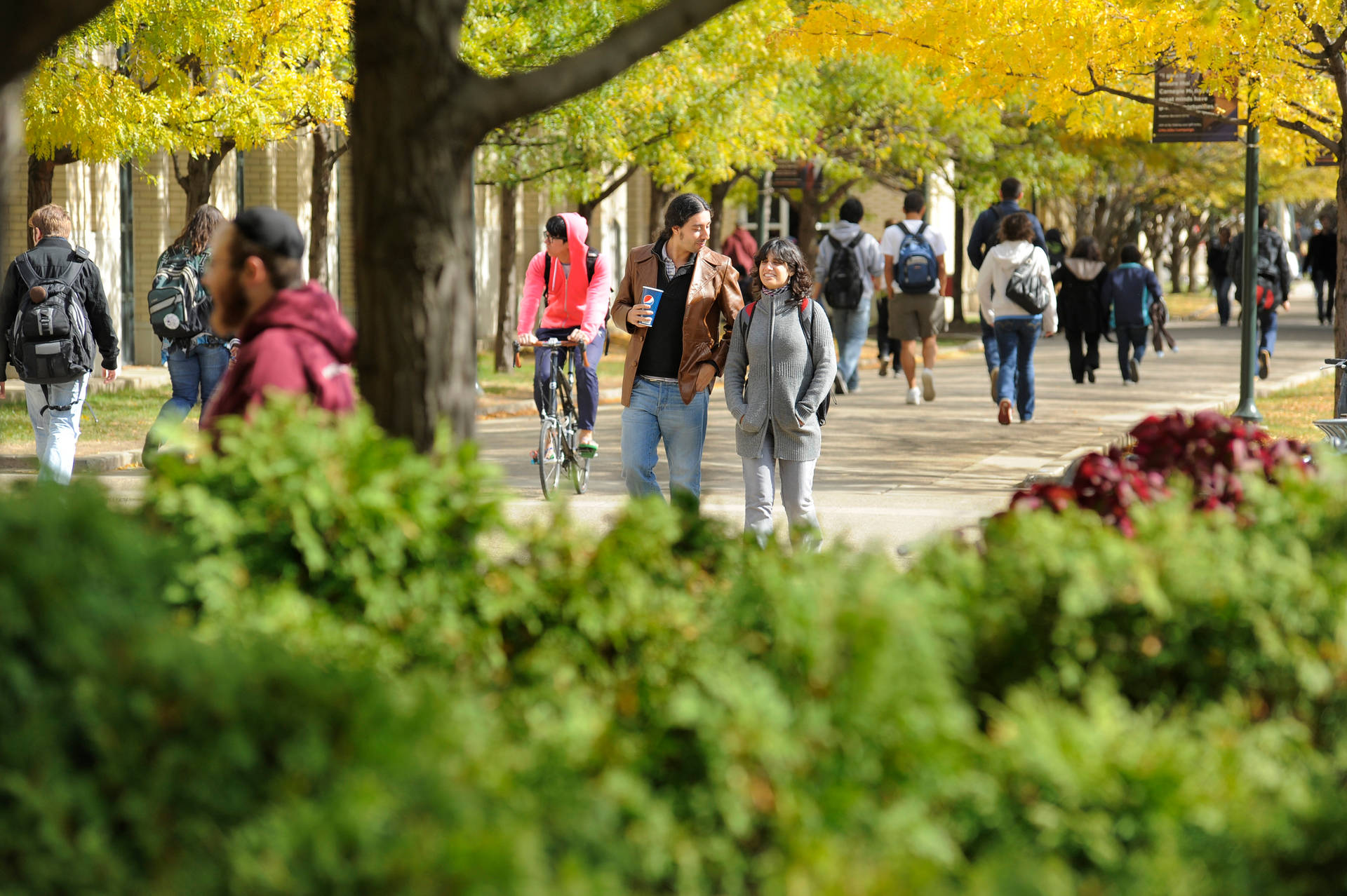 Students At Carnegie Mellon University Grounds Background