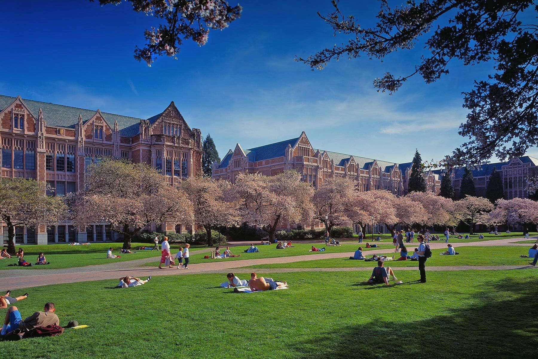 Students At The Quad University Of Washington Background