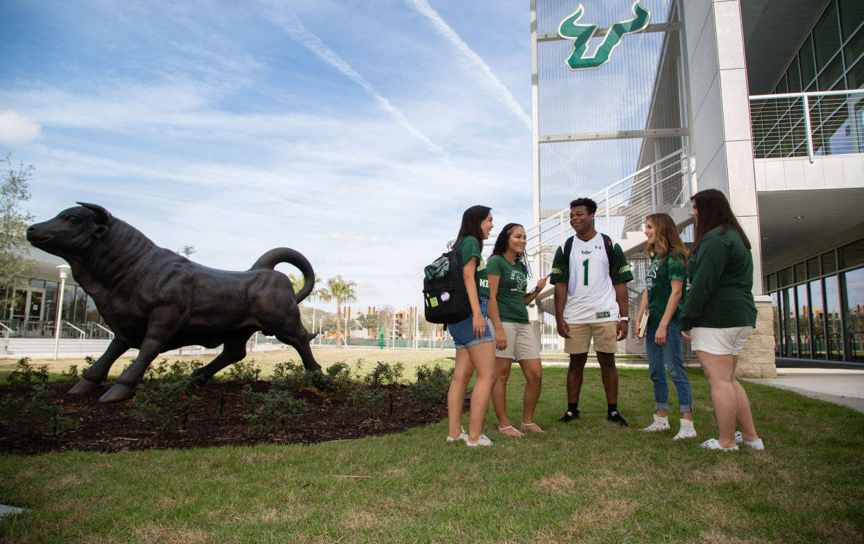 Students At University Of South Florida Background