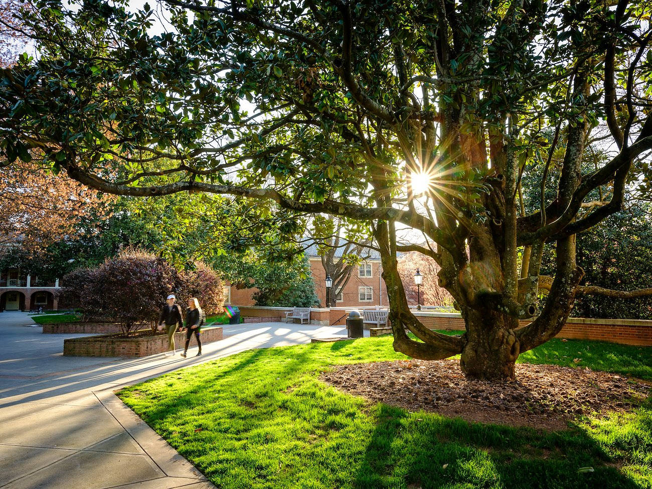 Students At Wake Forest University Campus Background