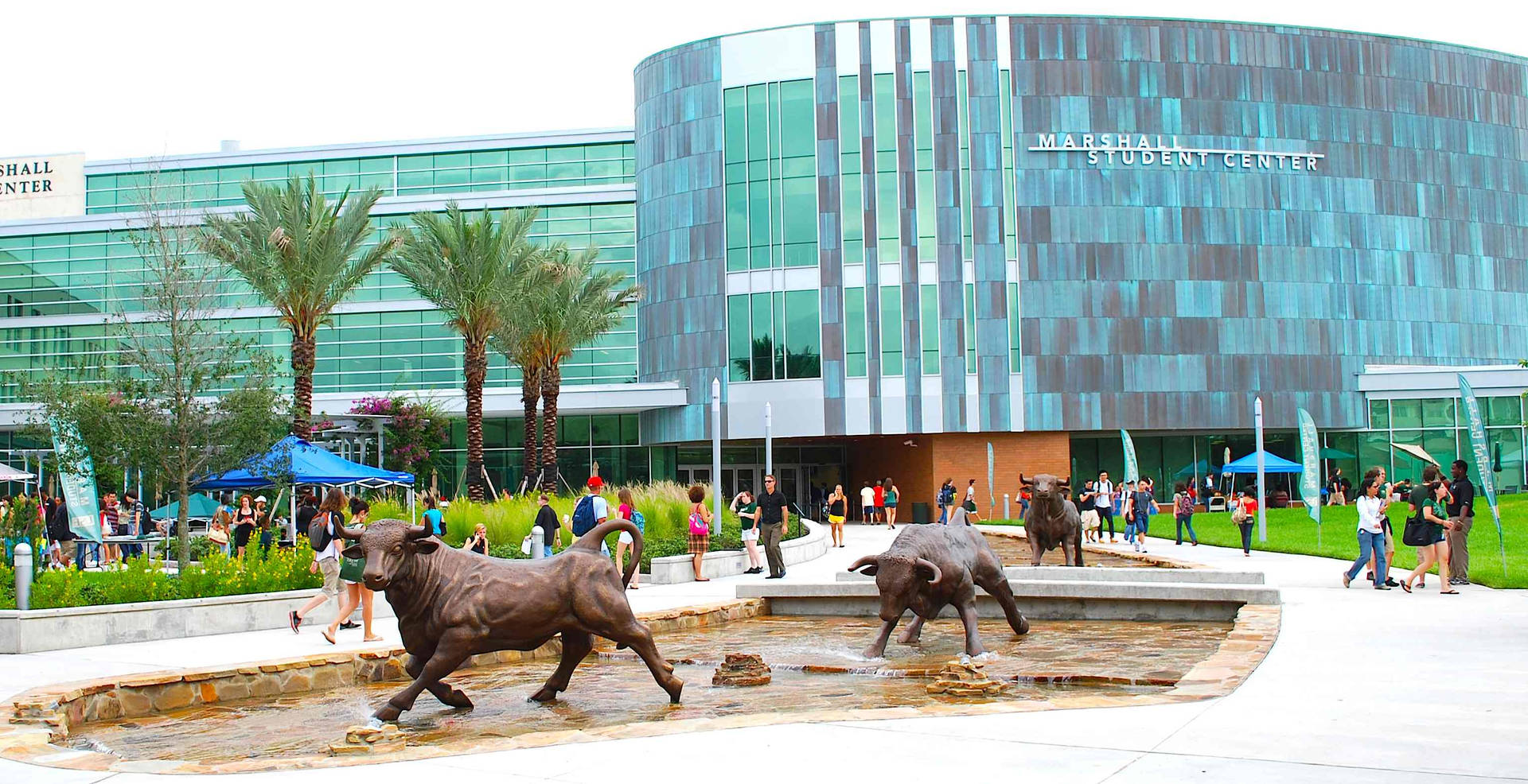 Students In University Of South Florida Campus