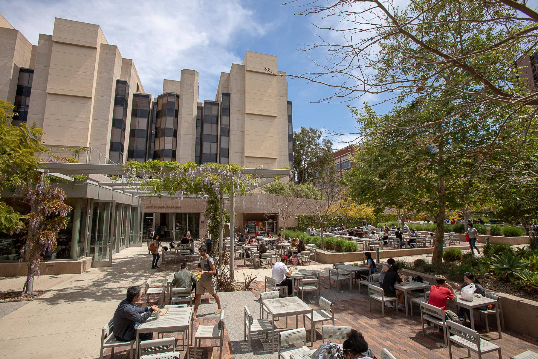 Students Lounging Outdoors At Ucla Background