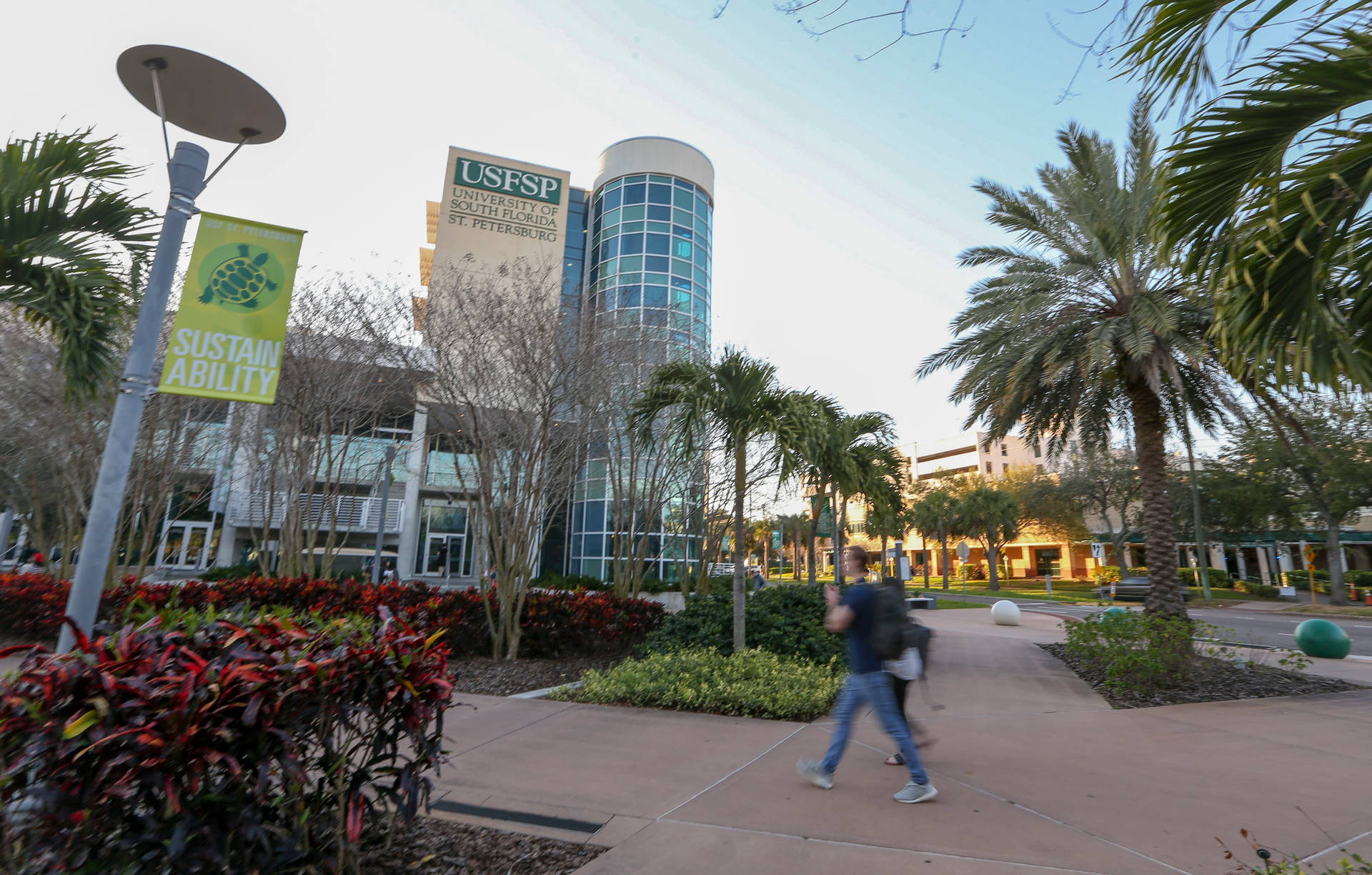 Students Walking Across University Of South Florida Campus Background