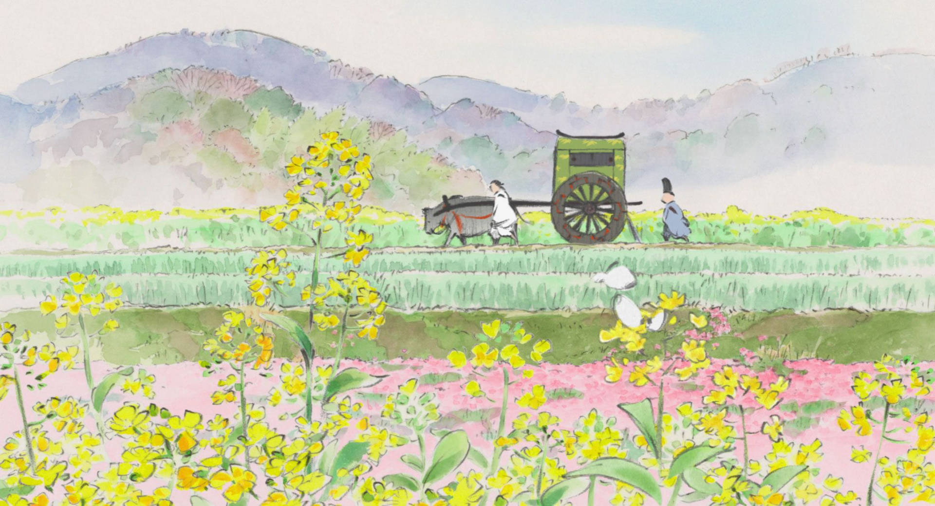 Studio Ghibli Desktop Flower Field Background