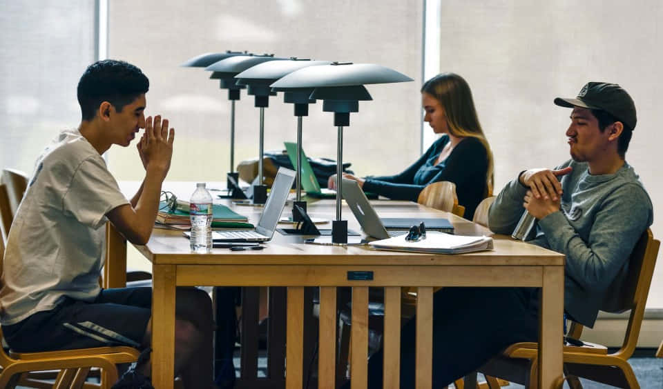 Studious Studying Separately Background