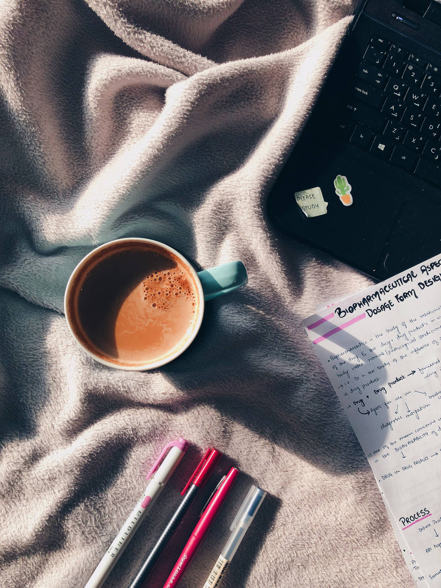 Study Aesthetic With Sunlight Background