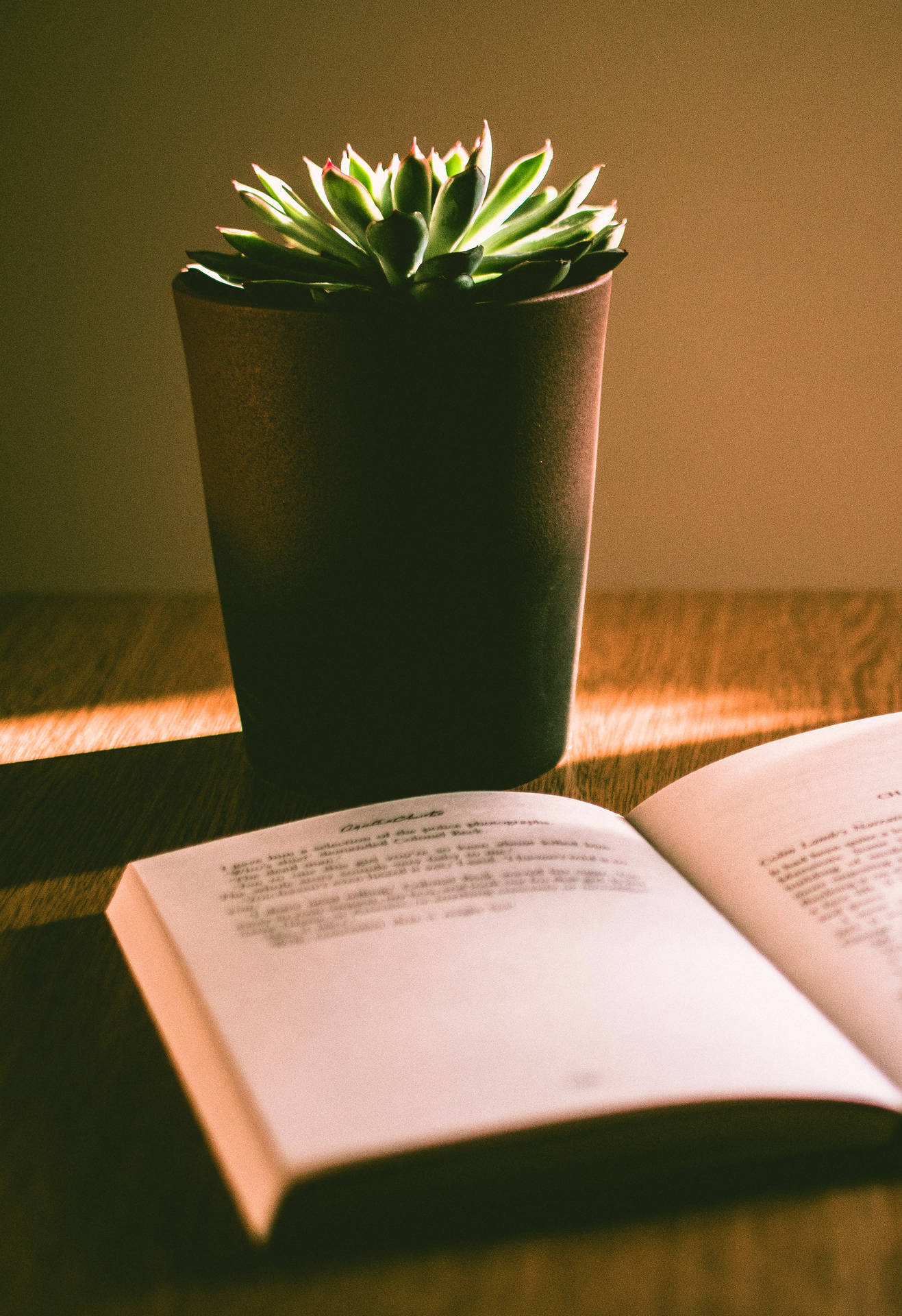 Study Motivation Book And Potted Plant Background