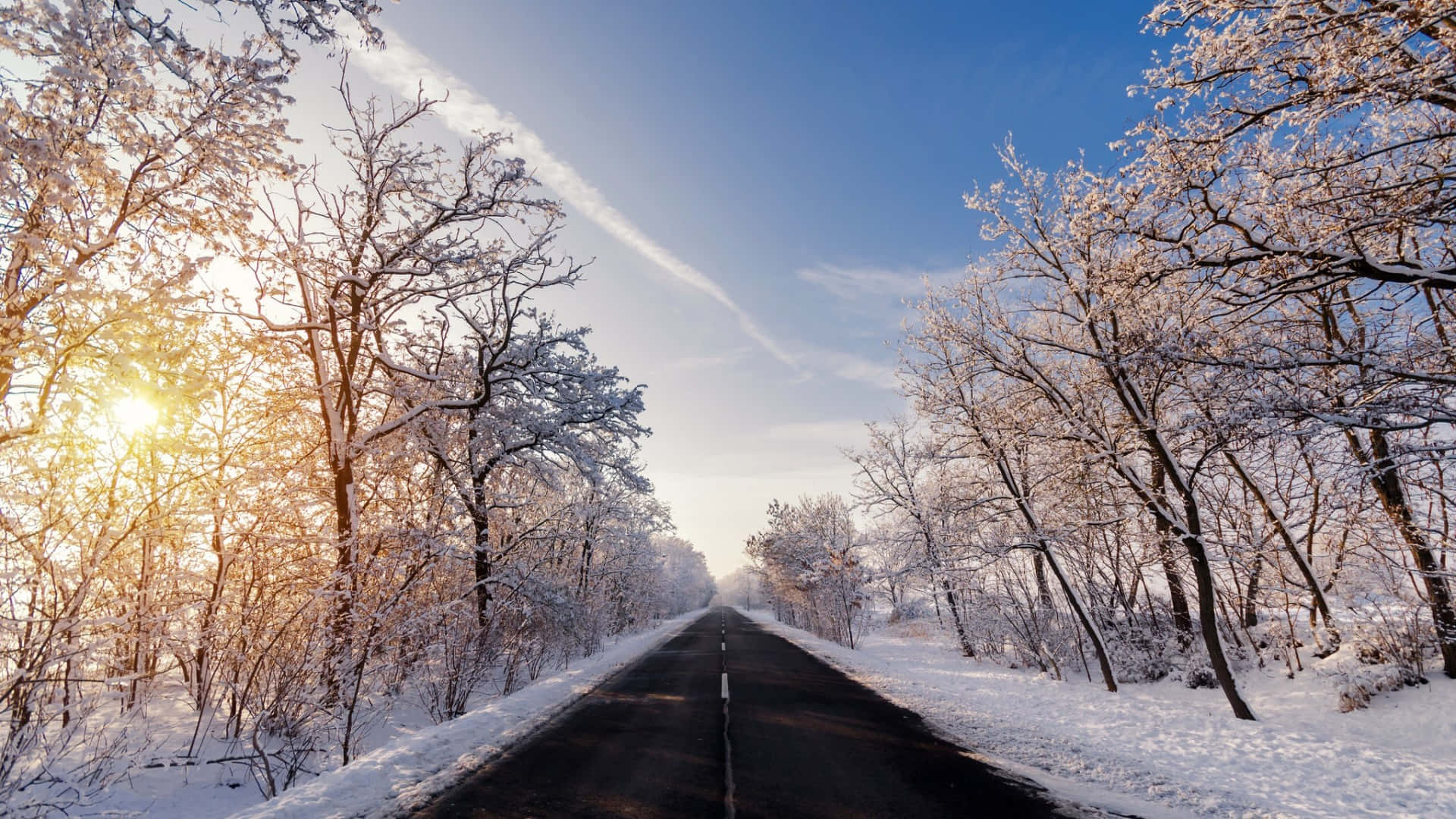 Studying For The Upcoming Exams In Winter Background