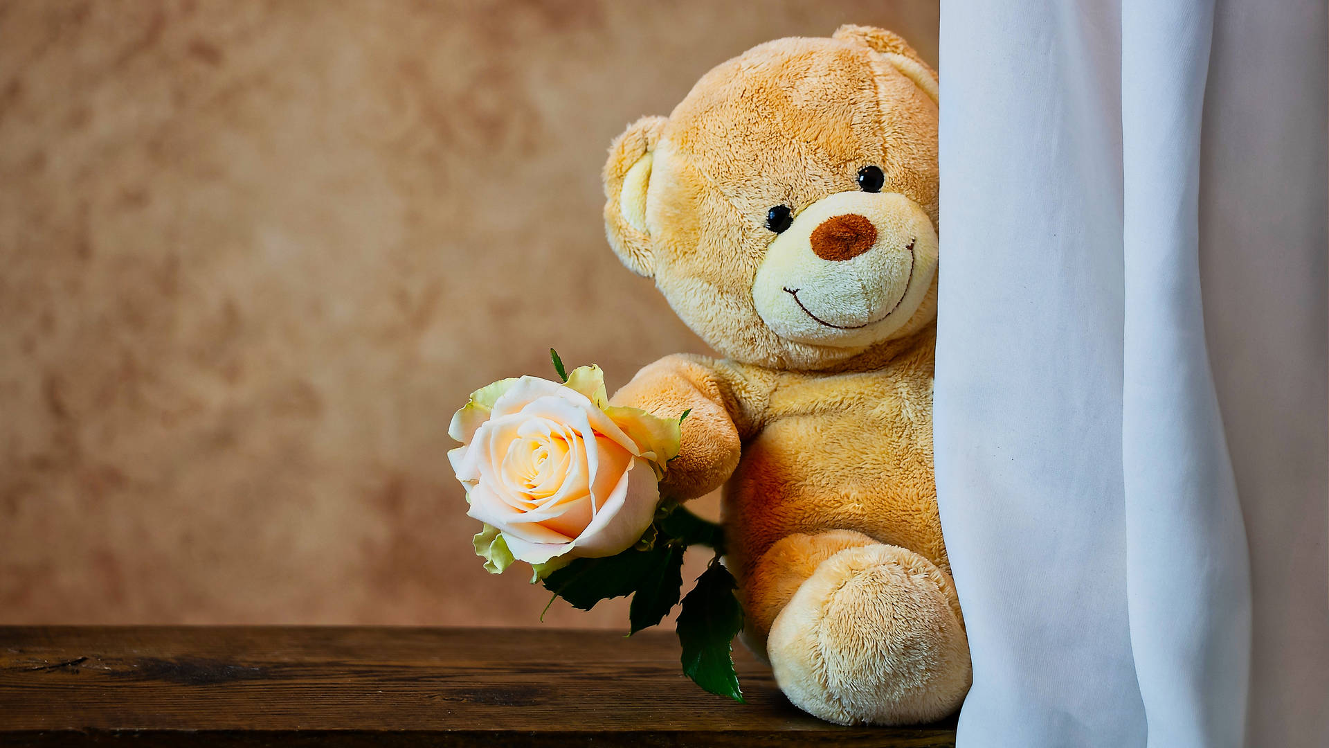 Stuffed Cute Teddy Bear Background