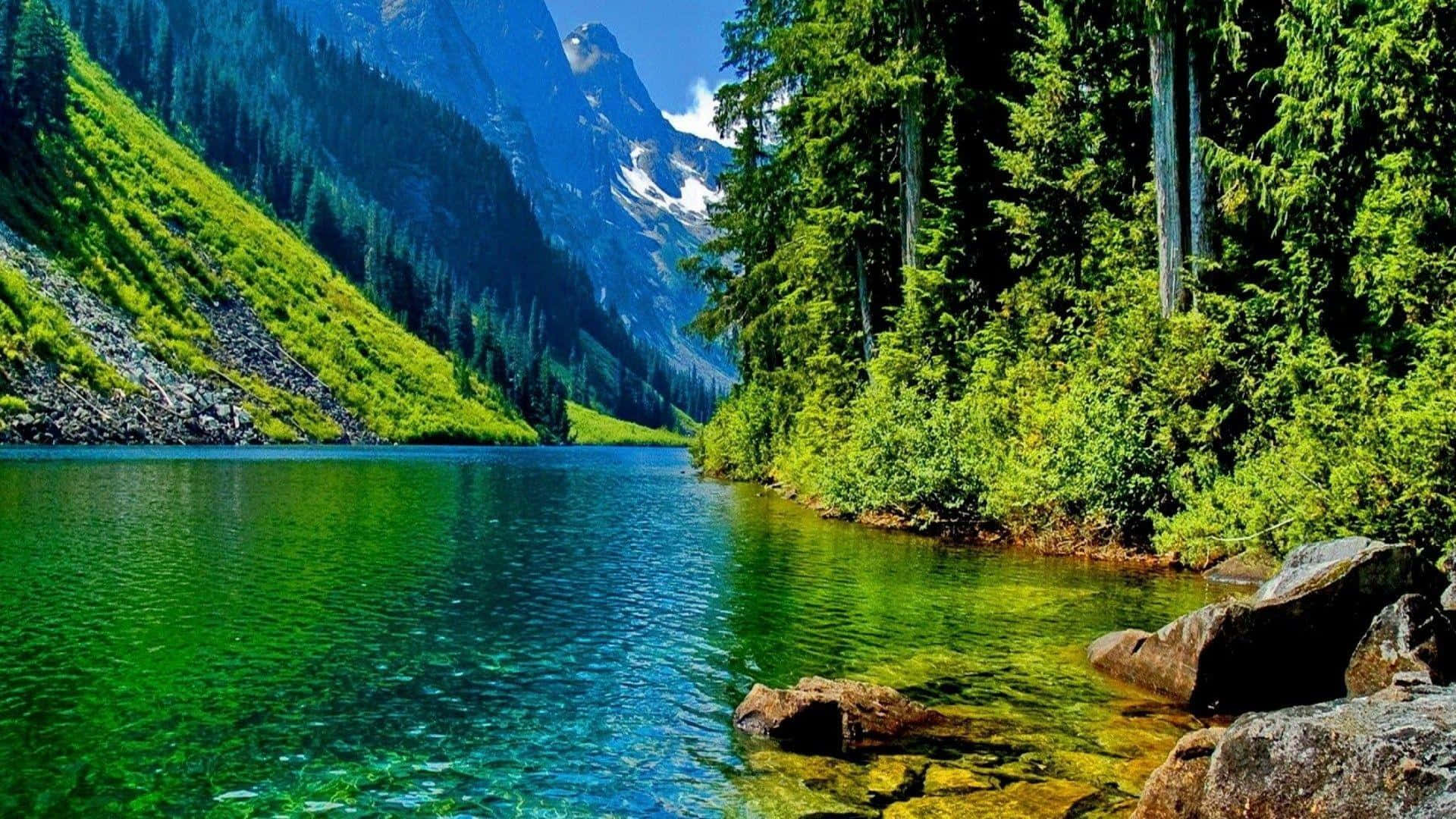 Stunning 1920 X 1080 Nature Desktop Background