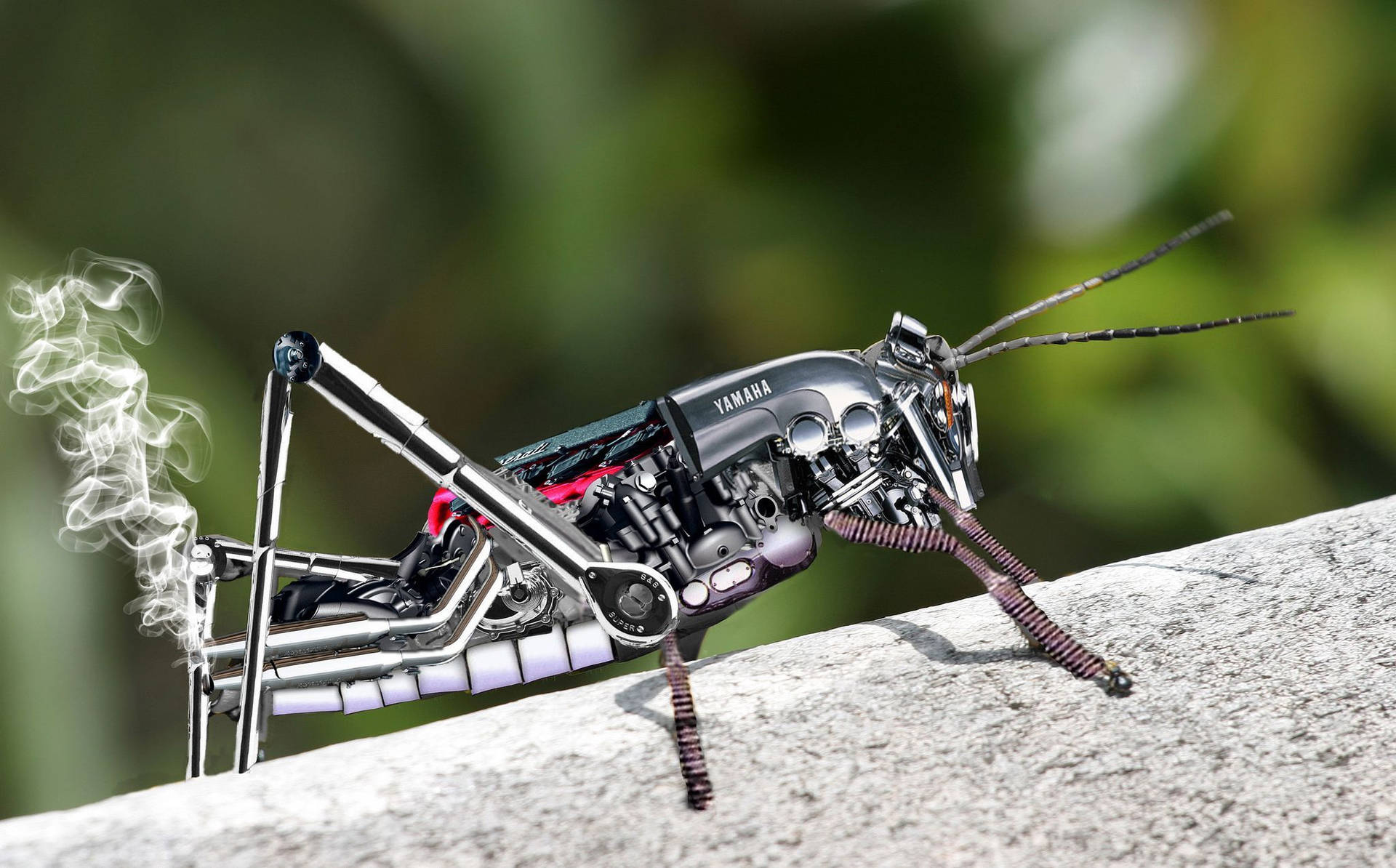 Stunning 3d Rendered Metal Grasshopper. Background