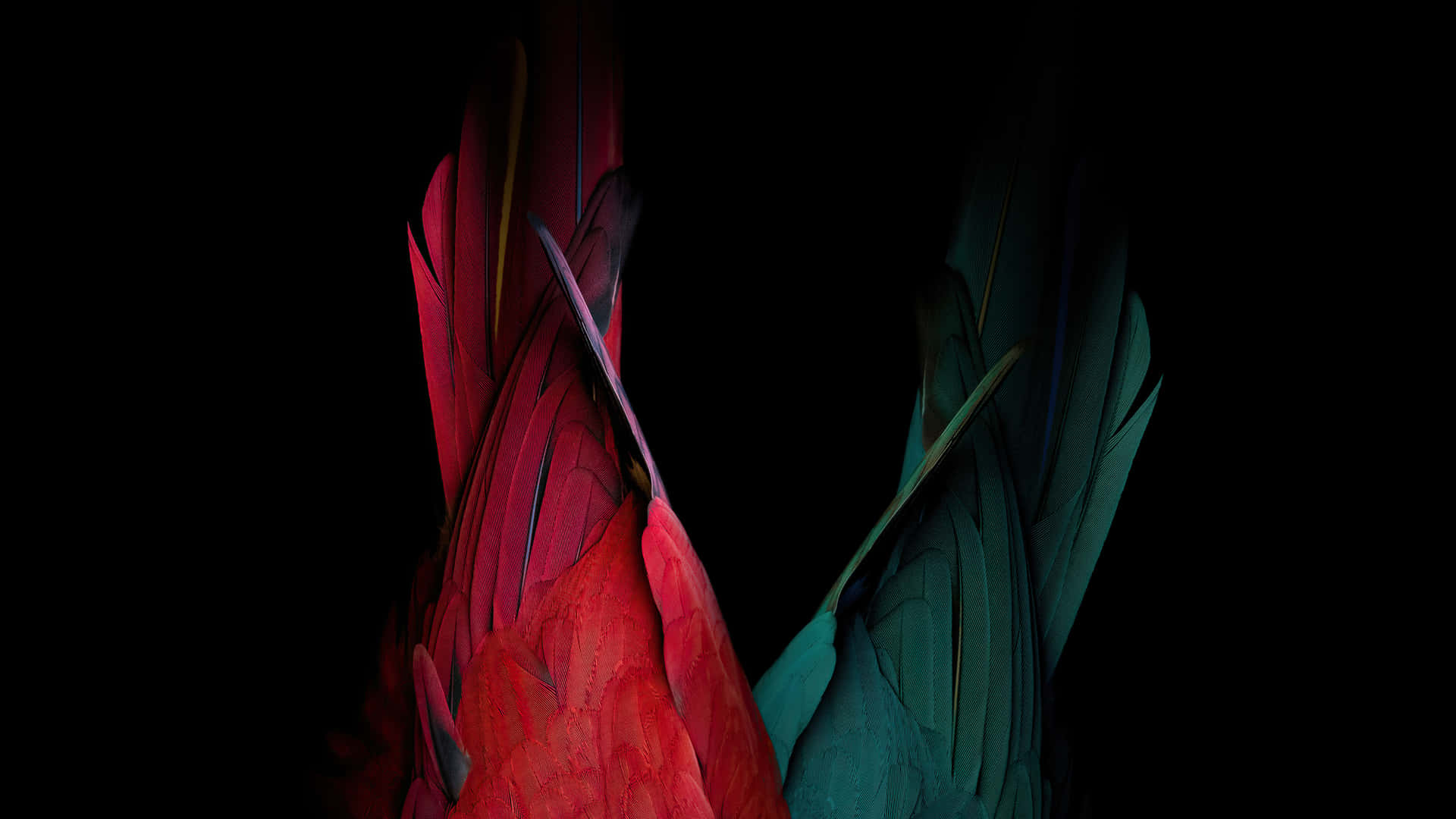 Stunning 4k Oled Display With Vibrant Colors And Sharp Details Background