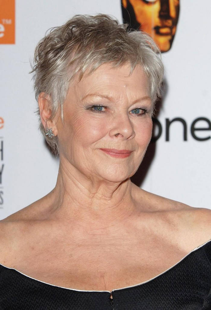 Stunning Actress Judy Dench Background