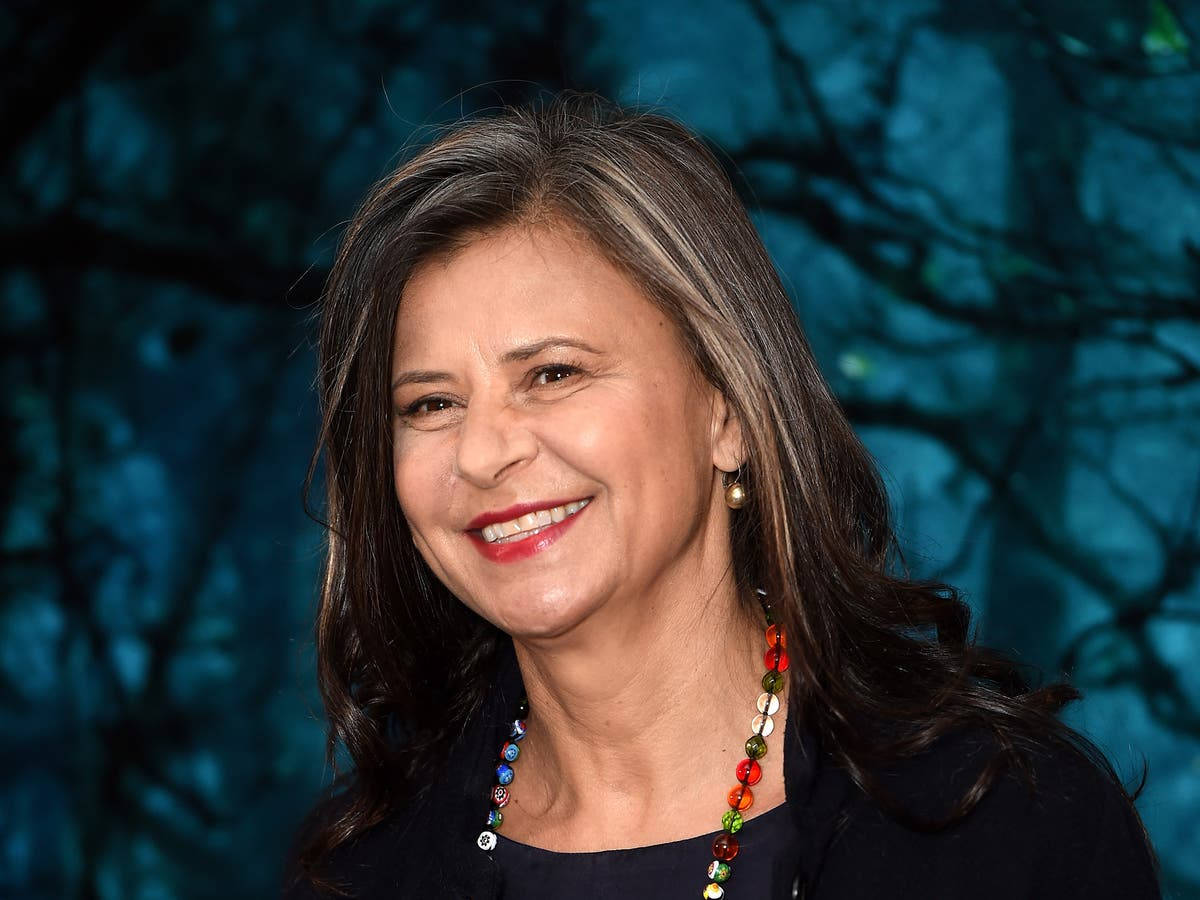 Stunning Actress Tracey Ullman Background