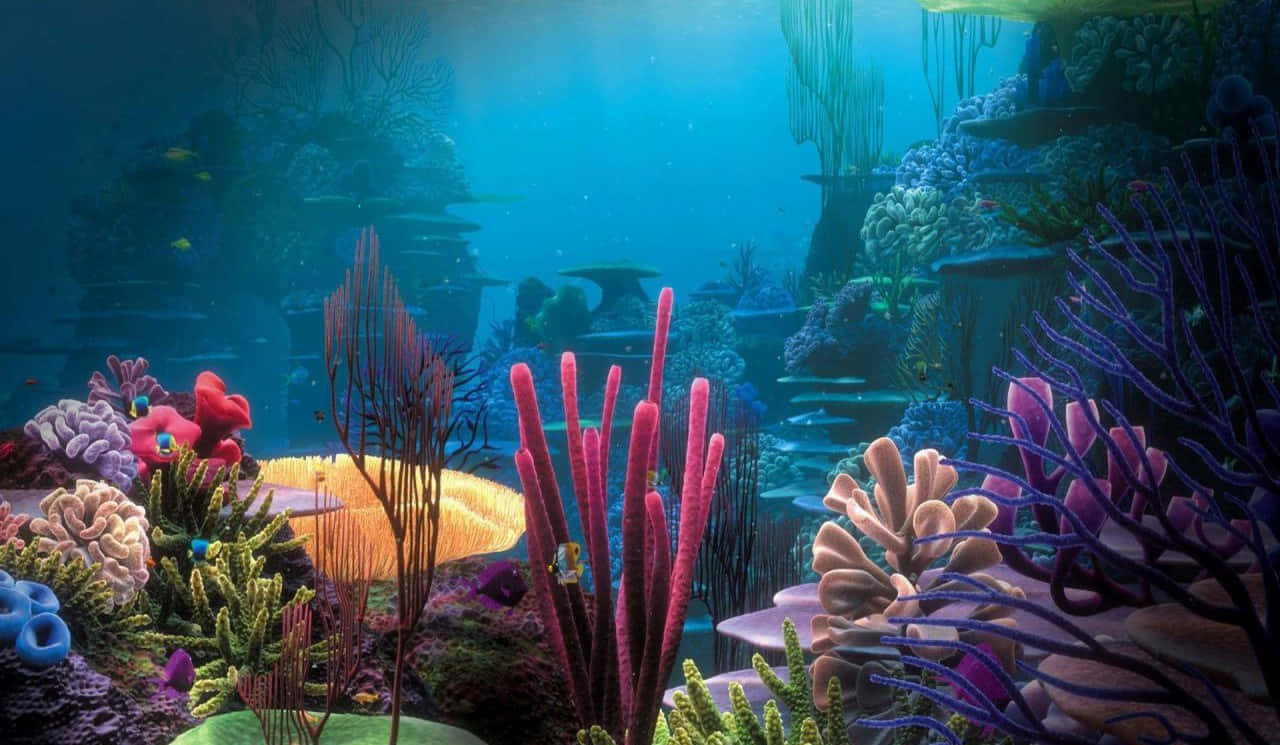 Stunning Aquarium Fish Tank Background