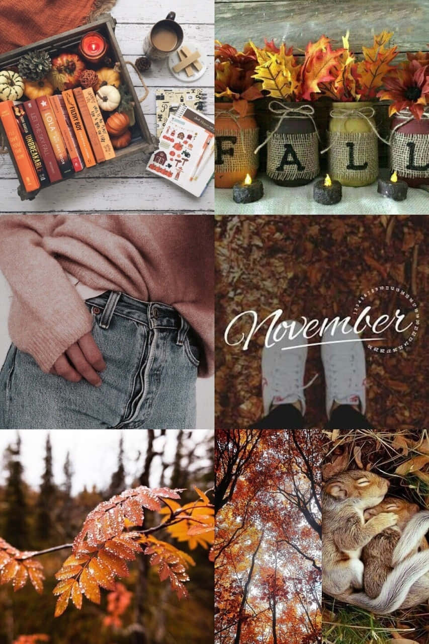Stunning Autumn Collage Background