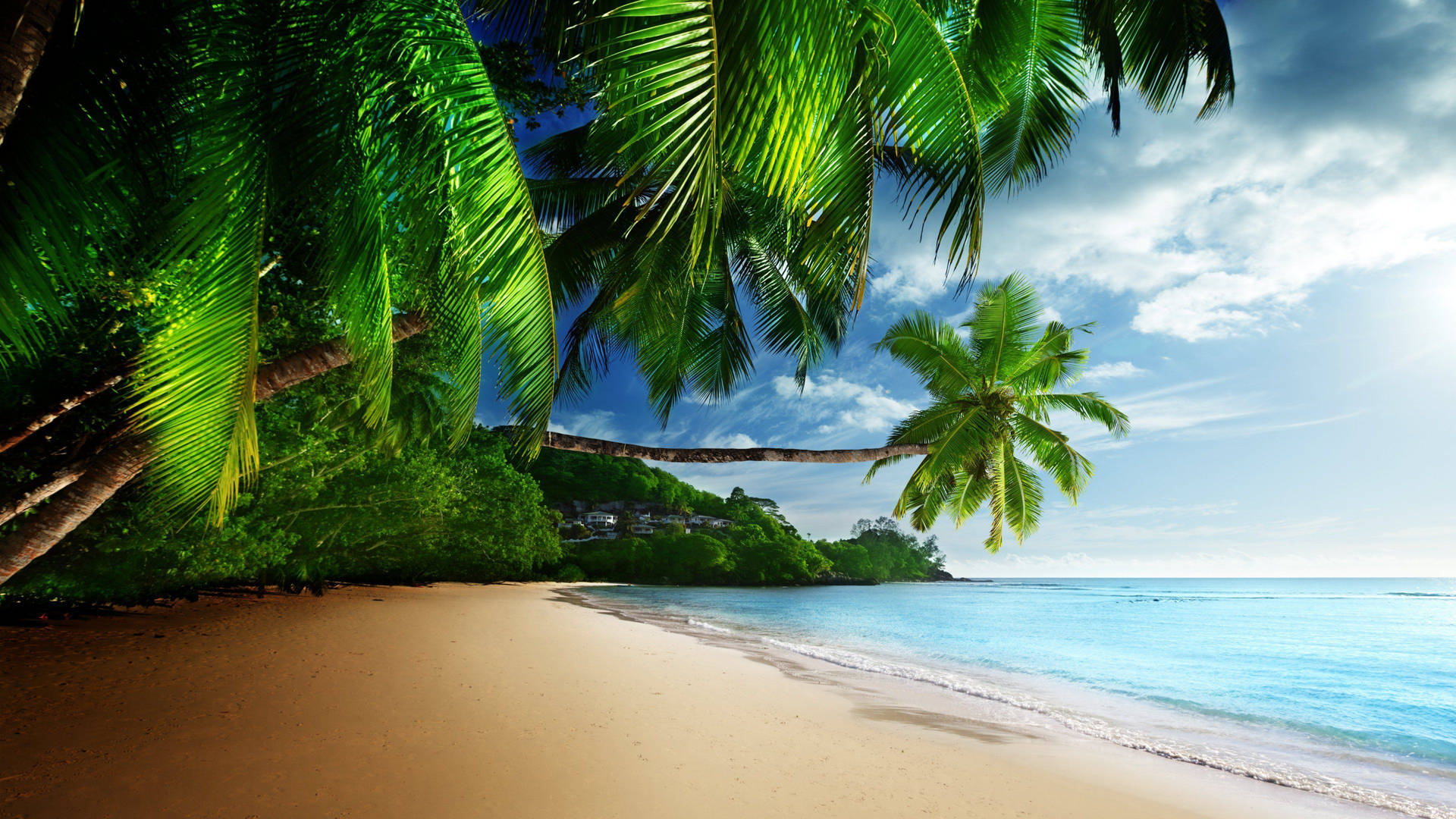 Stunning Beach Scenes Desktop Background