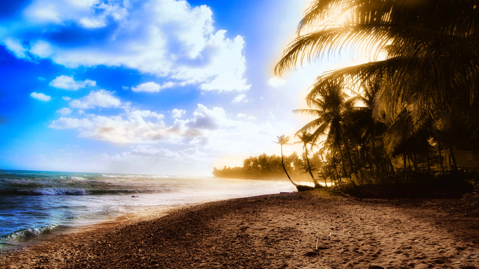 Stunning Beach Shore Background