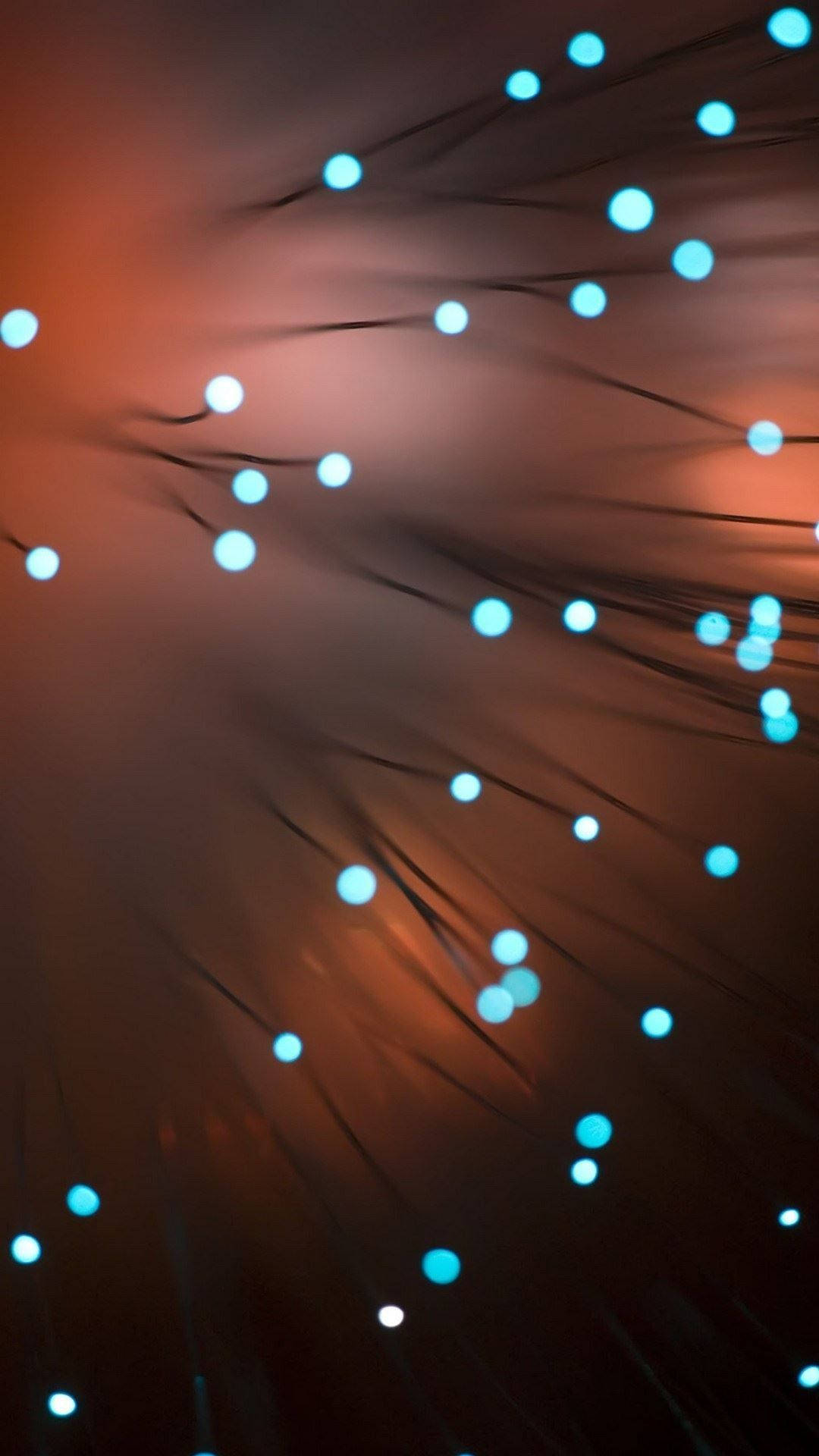 Stunning Bioluminescent Coral Display On Hd Phone Screen