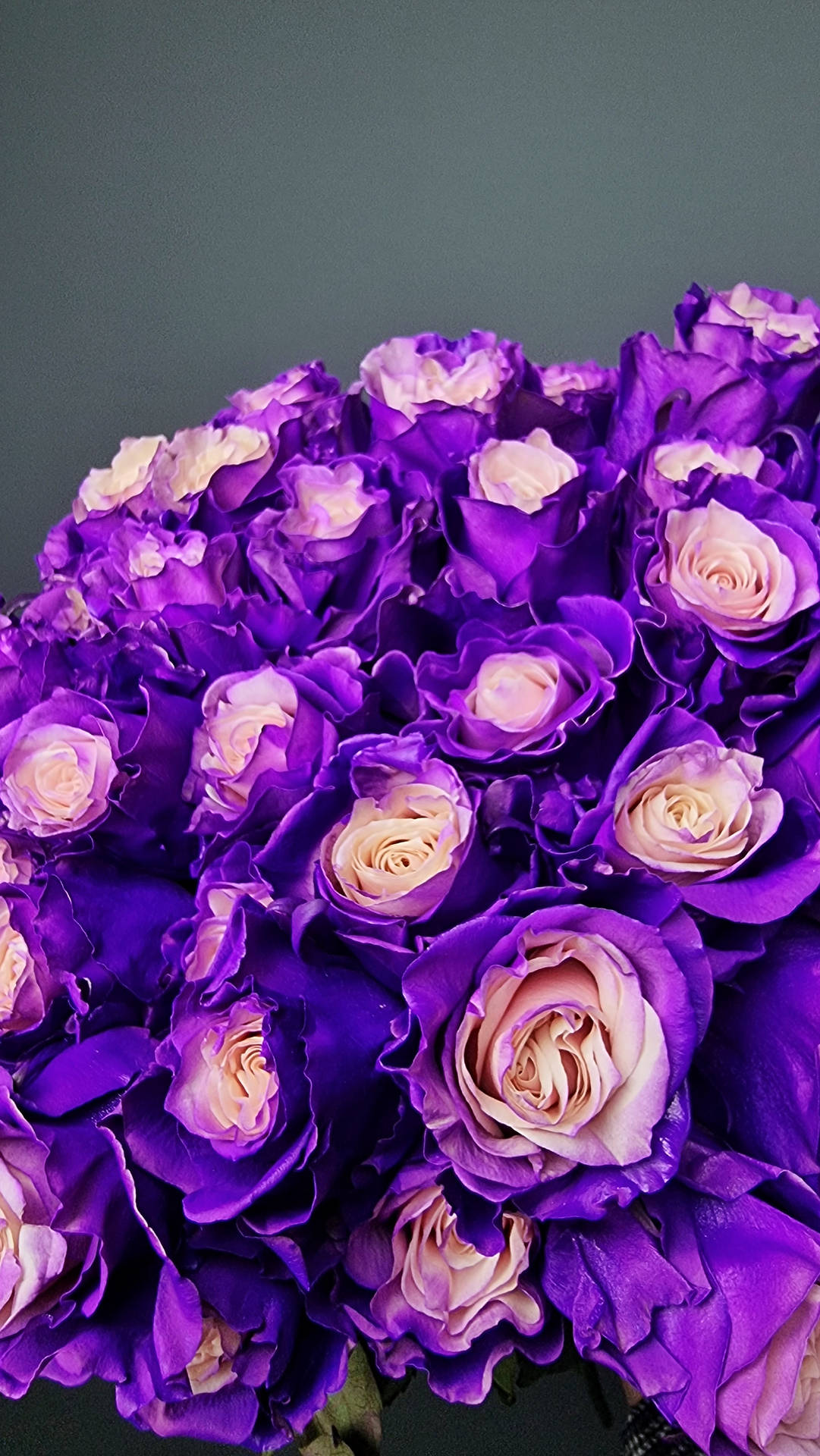 Stunning Bouquet Of Purple Roses